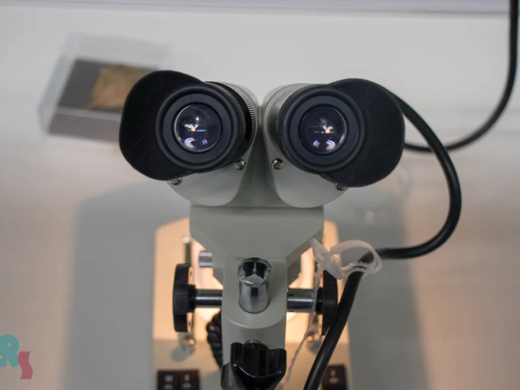 Nahaufnahme eines Stereomikroskops.